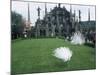 White Peacocks in Front of Folly, Isola Bella, Lake Maggiore, Piedmont, Italy-Sheila Terry-Mounted Photographic Print