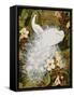 White Peacocks on Pink Hibiscus-Jesse Arms Botke-Framed Stretched Canvas