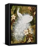 White Peacocks on Pink Hibiscus-Jesse Arms Botke-Framed Stretched Canvas