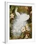 White Peacocks on Pink Hibiscus-Jesse Arms Botke-Framed Art Print