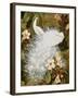 White Peacocks on Pink Hibiscus-Jesse Arms Botke-Framed Art Print