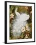 White Peacocks on Pink Hibiscus-Jesse Arms Botke-Framed Art Print