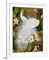 White Peacocks on Pink Hibiscus-Jesse Arms Botke-Framed Art Print