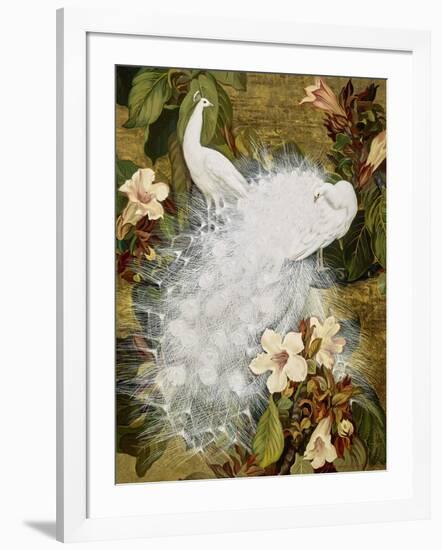 White Peacocks on Pink Hibiscus-Jesse Arms Botke-Framed Art Print