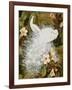 White Peacocks on Pink Hibiscus-Jesse Arms Botke-Framed Art Print