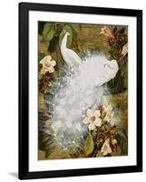 White Peacocks on Pink Hibiscus-Jesse Arms Botke-Framed Art Print