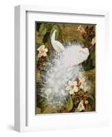 White Peacocks on Pink Hibiscus-Jesse Arms Botke-Framed Art Print