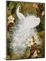 White Peacocks on Pink Hibiscus-Jesse Arms Botke-Mounted Art Print