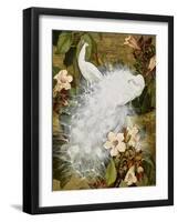 White Peacocks on Pink Hibiscus-Jesse Arms Botke-Framed Art Print