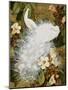 White Peacocks on Pink Hibiscus-Jesse Arms Botke-Mounted Art Print