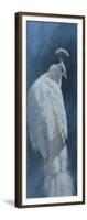 White Peahen-Michael Jackson-Framed Giclee Print