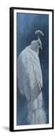 White Peahen-Michael Jackson-Framed Giclee Print