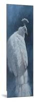 White Peahen-Michael Jackson-Mounted Giclee Print