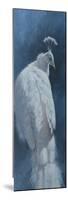 White Peahen-Michael Jackson-Mounted Giclee Print