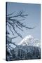 White Peak-Craig Howarth-Stretched Canvas