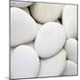 White Pebbles-null-Mounted Premium Photographic Print