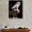 White Pelican, Everglades, Florida, USA-Gavriel Jecan-Photographic Print displayed on a wall