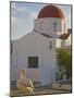 White Pelican Preening, Hora, Mykonos, Greece-Darrell Gulin-Mounted Photographic Print