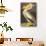 White Pelican-John James Audubon-Art Print displayed on a wall