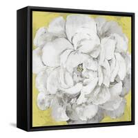 White Peonia Yellow Version-Asia Jensen-Framed Stretched Canvas