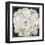 White Peonia-Asia Jensen-Framed Art Print