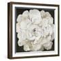 White Peonia-Asia Jensen-Framed Art Print