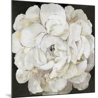 White Peonia-Asia Jensen-Mounted Premium Giclee Print