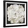 White Peonia-Asia Jensen-Framed Art Print