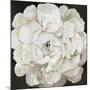 White Peonia-Asia Jensen-Mounted Art Print