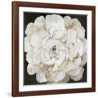 White Peonia-Asia Jensen-Framed Art Print