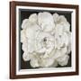 White Peonia-Asia Jensen-Framed Art Print