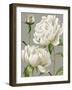 White Peonies I-null-Framed Art Print