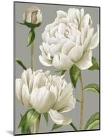 White Peonies I-null-Mounted Art Print