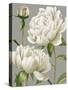 White Peonies I-null-Stretched Canvas