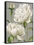 White Peonies I-null-Framed Stretched Canvas