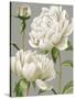 White Peonies I-null-Stretched Canvas