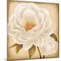 White Peonies I-Vivien Rhyan-Mounted Art Print