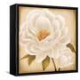 White Peonies I-Vivien Rhyan-Framed Stretched Canvas