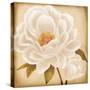 White Peonies I-Vivien Rhyan-Stretched Canvas