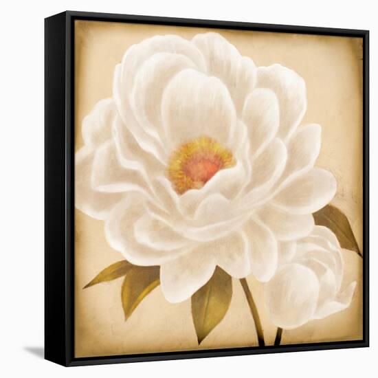 White Peonies I-Vivien Rhyan-Framed Stretched Canvas