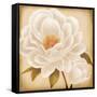 White Peonies I-Vivien Rhyan-Framed Stretched Canvas