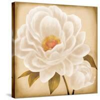 White Peonies I-Vivien Rhyan-Stretched Canvas