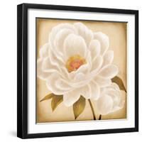 White Peonies I-Vivien Rhyan-Framed Art Print