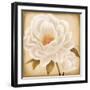 White Peonies I-Vivien Rhyan-Framed Art Print