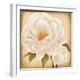 White Peonies I-Vivien Rhyan-Framed Art Print