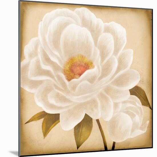 White Peonies I-Vivien Rhyan-Mounted Art Print