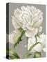 White Peonies II-null-Stretched Canvas