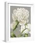 White Peonies II-null-Framed Art Print