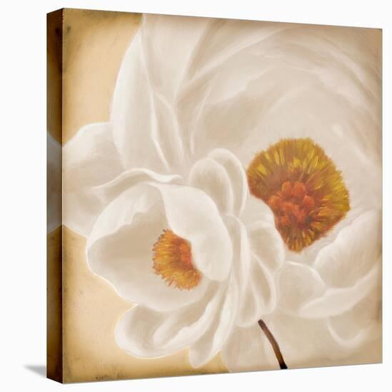 White Peonies II-Vivien Rhyan-Stretched Canvas