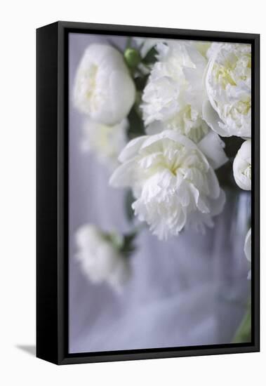 White Peonies in a Vase-Anna Miller-Framed Stretched Canvas